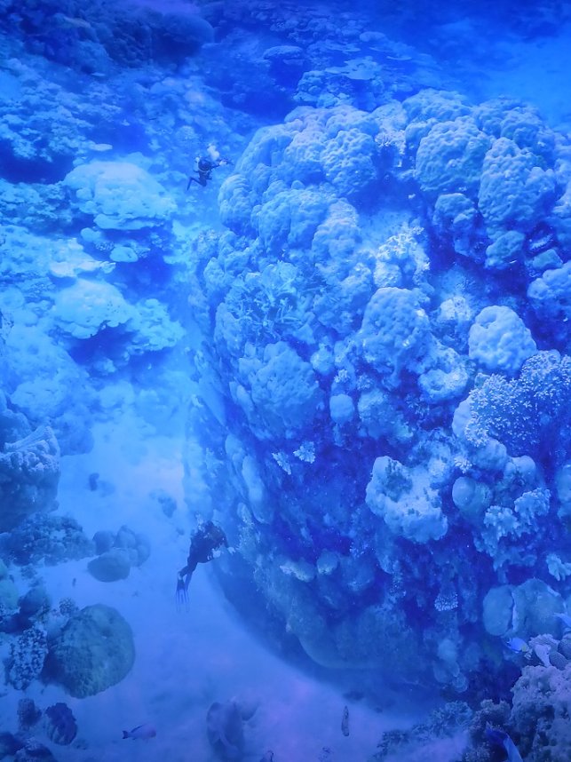 Herzsportgruppe war unterwegs