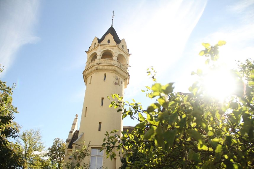 Dem Haus ein Gesicht geben - Meyenburg B&uuml;ste im Nordh&auml;user Kunsthaus enth&uuml;llt