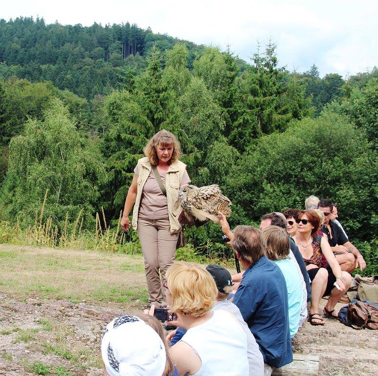 Besuch im Harzfalkenhof