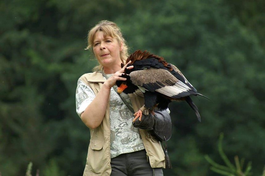 Besuch im Harzfalkenhof