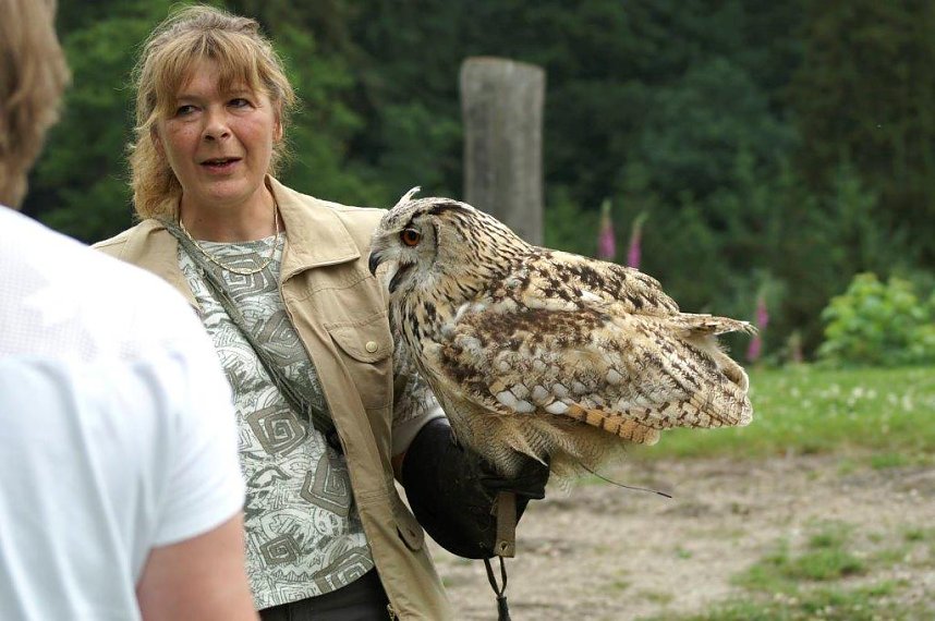 Besuch im Harzfalkenhof
