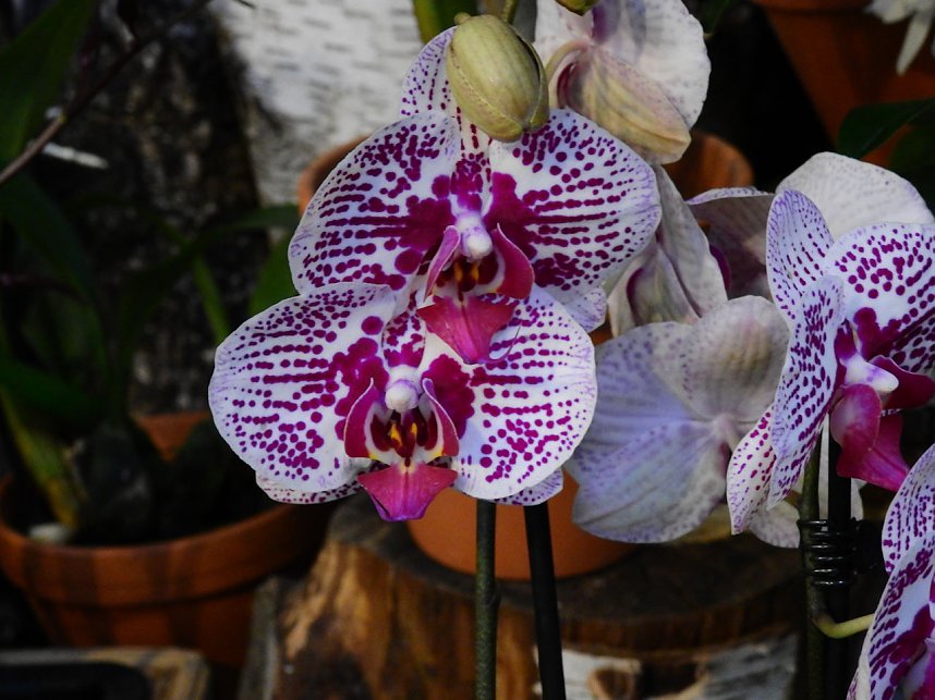 25 Jahre Keramikscheune Spickendorf