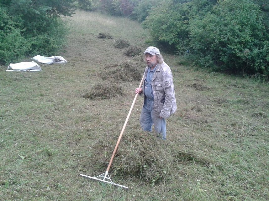 BUND pflegt Orchideenwiese