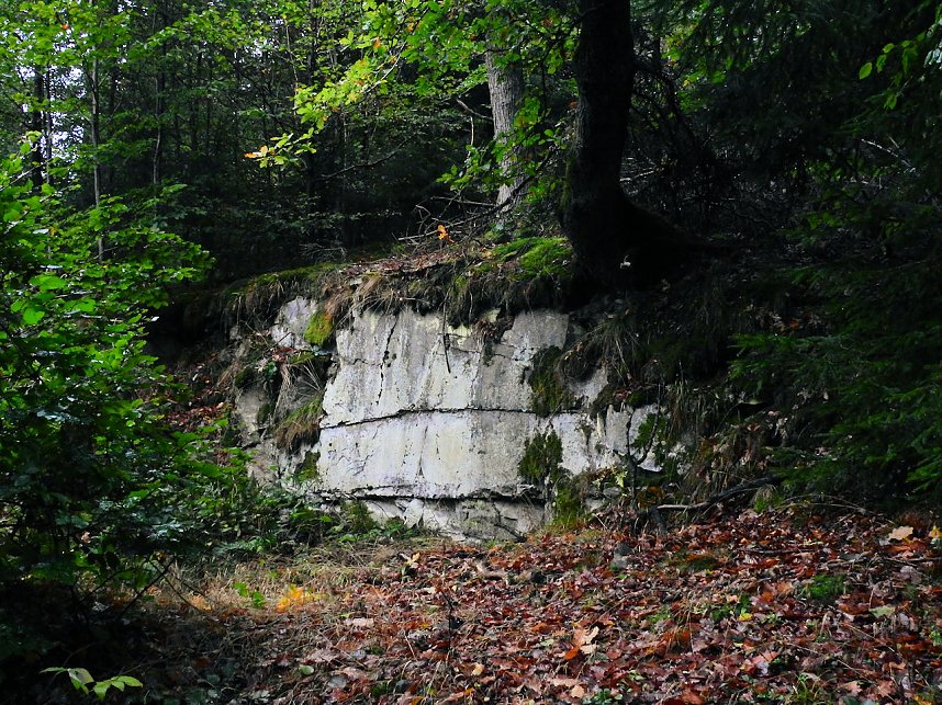 Hardt-Teich bei Neustadt