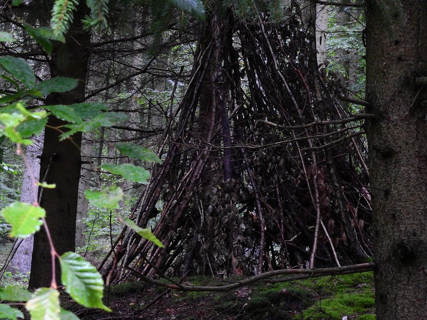 Hardt-Teich bei Neustadt