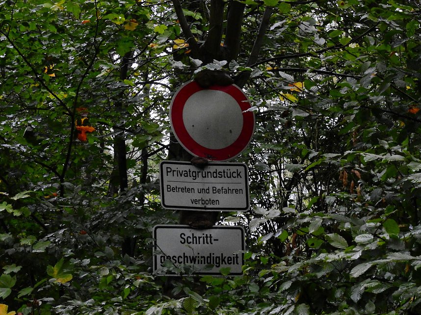 Hardt-Teich bei Neustadt