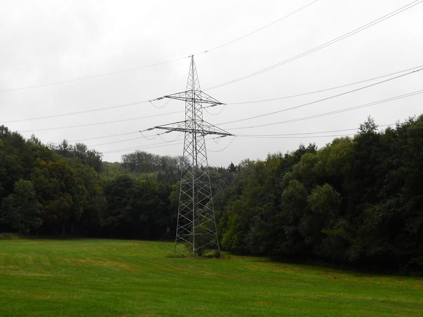 Hardt-Teich bei Neustadt