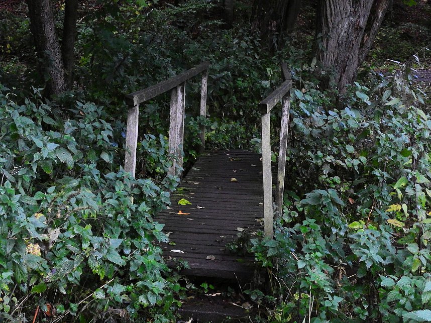 Hardt-Teich bei Neustadt