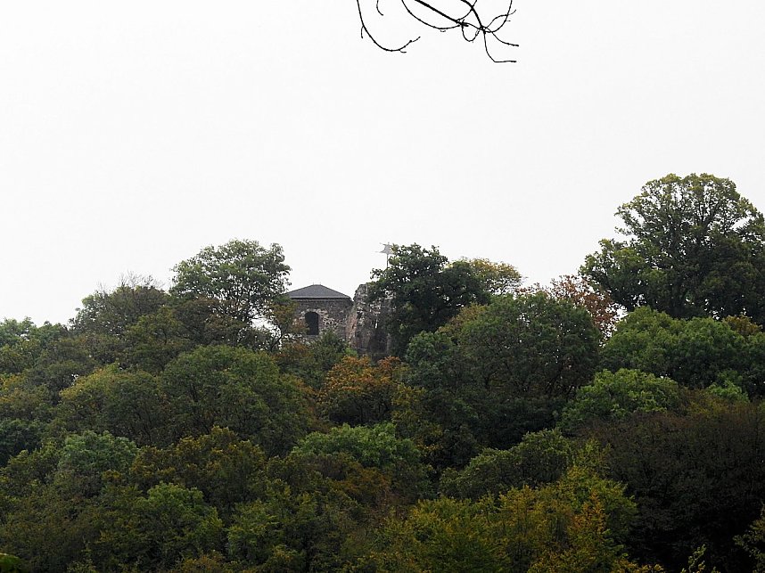 Hardt-Teich bei Neustadt