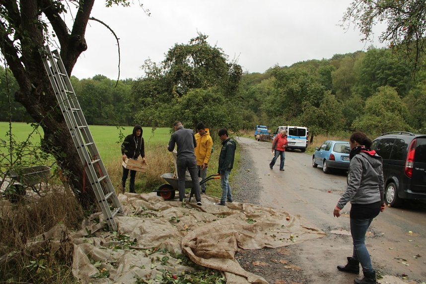 &Auml;pfel f&uuml;r Aleppo geht in die zweite Runde