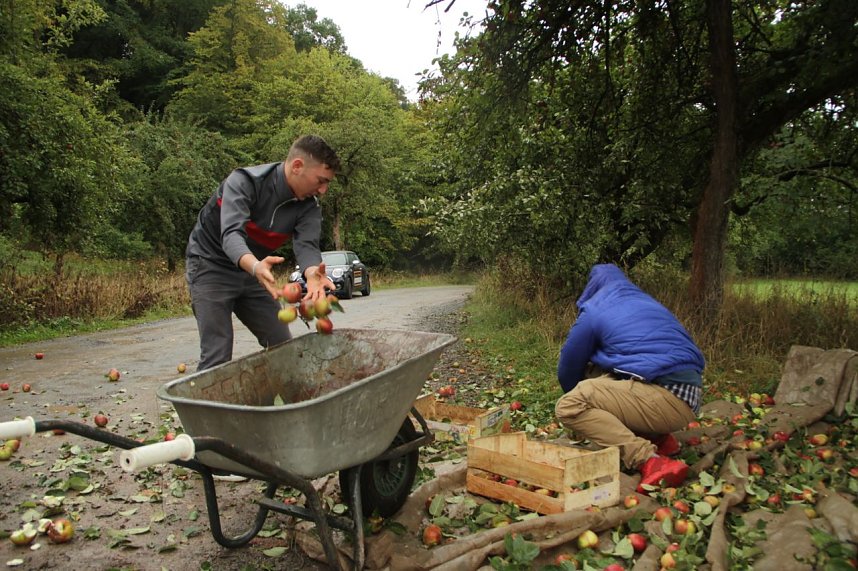&Auml;pfel f&uuml;r Aleppo geht in die zweite Runde