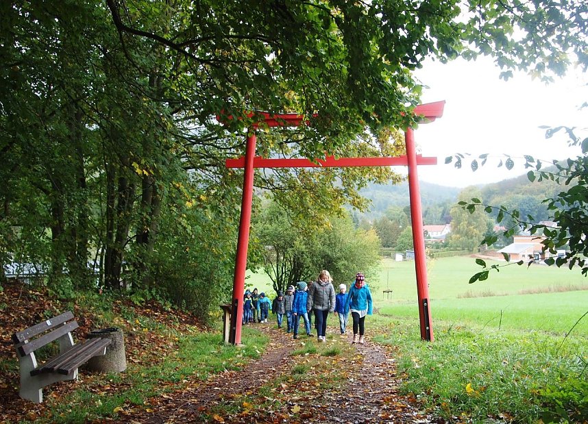 Viel Arbeit im Ilfelder Ahornpark
