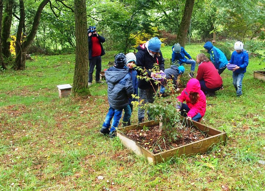 Viel Arbeit im Ilfelder Ahornpark