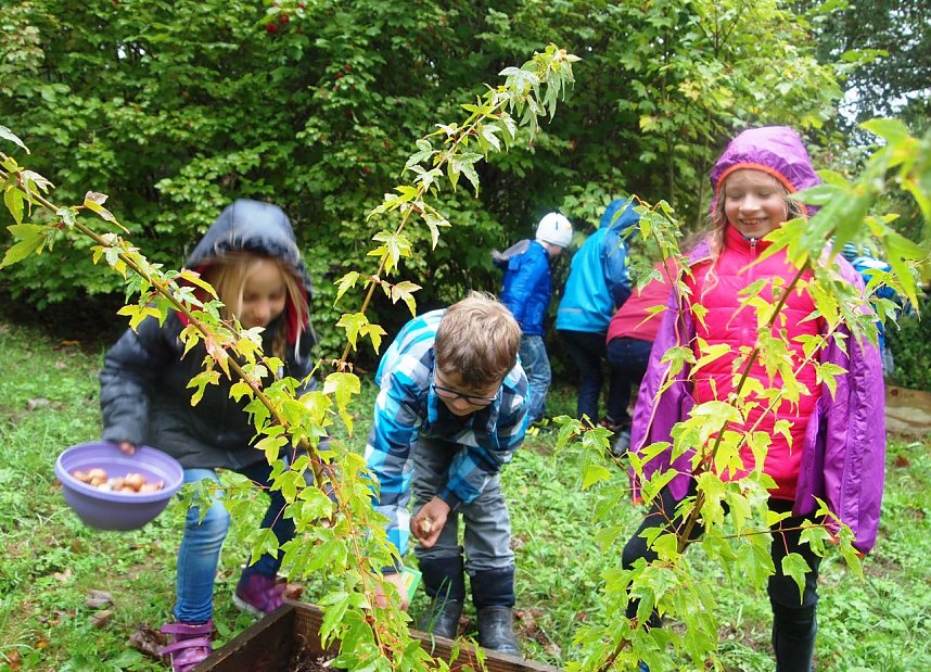 Viel Arbeit im Ilfelder Ahornpark