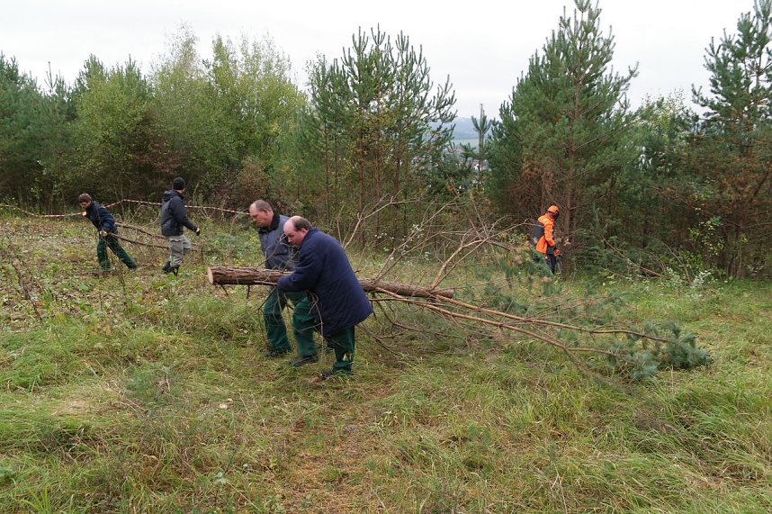 Freiwilligeneinsatz am Gr&uuml;nen Band
