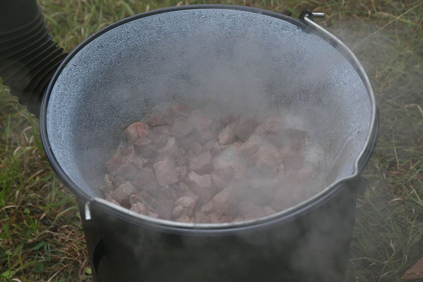 Freiwilligeneinsatz am Gr&uuml;nen Band
