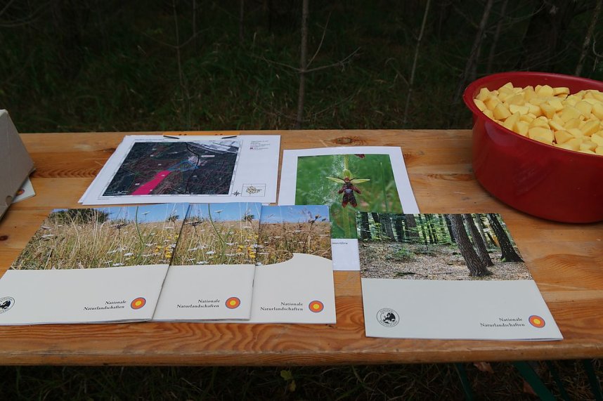 Freiwilligeneinsatz am Gr&uuml;nen Band