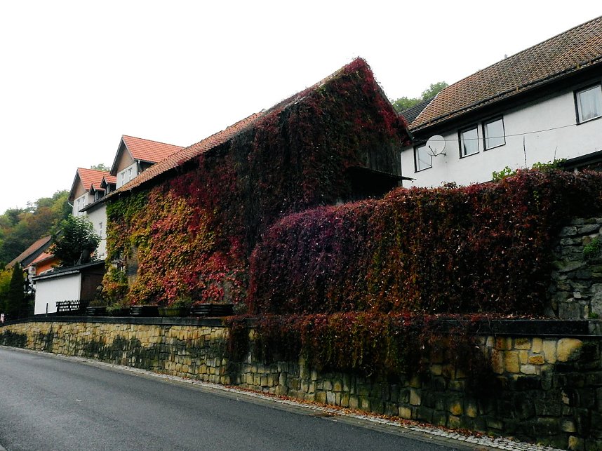 Peter Blei unterwegs in Altenbrak