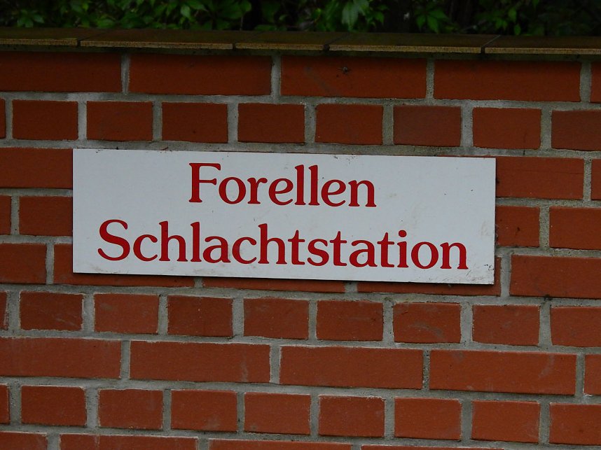 Peter Blei unterwegs in Altenbrak