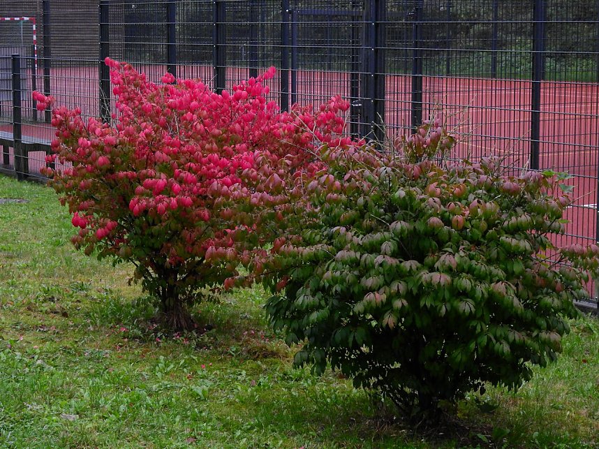 Peter Blei unterwegs in Altenbrak