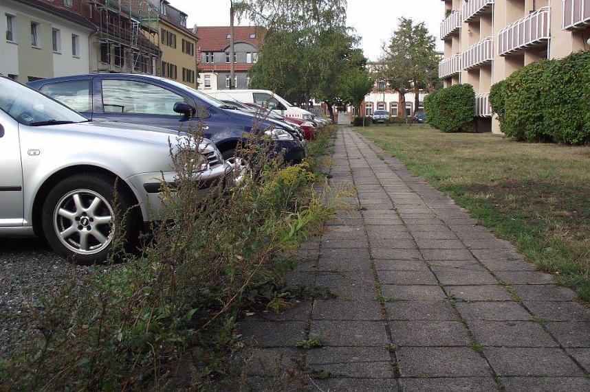 Nur Unkraut in der Justus-Jonas-Stra&szlig;e parallel zum SWG-Wohnblock