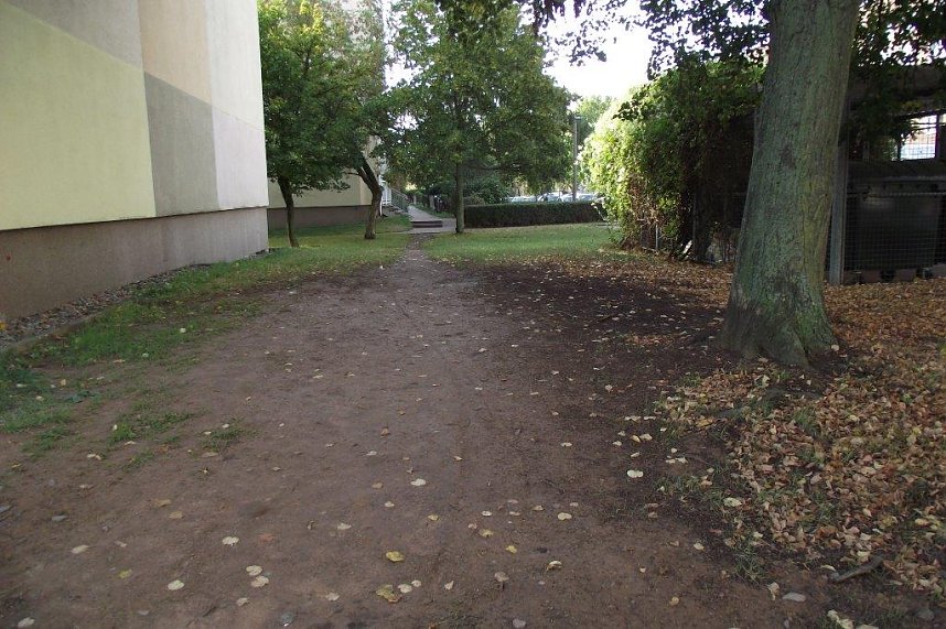 Der Trampelpfad in der Hardenbergstra&szlig;e ist nicht nur  f&uuml;r  Wohnungswart Paetzold ein &Auml;rgernis. B&uuml;sche in Dreierreihen sollen Abhilfe schaffen