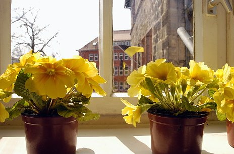 Blick aus dem Rathaus