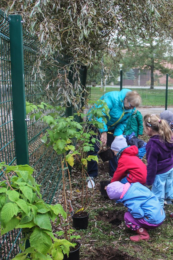Naschhecke spendiert