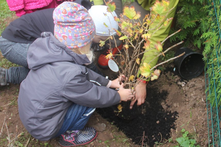 Naschhecke spendiert