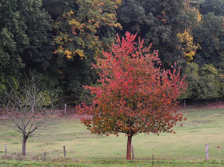 Unterwegs in und um R&uuml;disgdorf