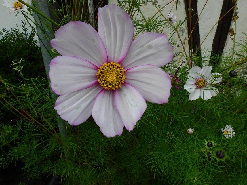 Unterwegs in und um R&uuml;disgdorf