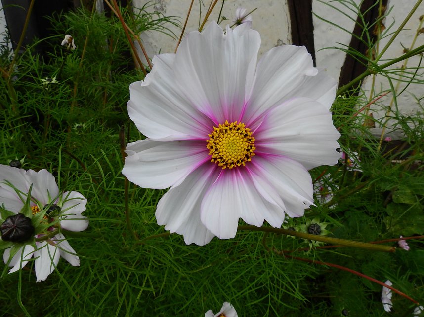Unterwegs in und um R&uuml;disgdorf