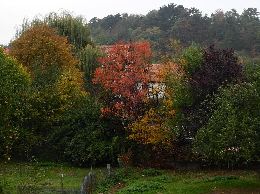 Unterwegs in und um R&uuml;disgdorf