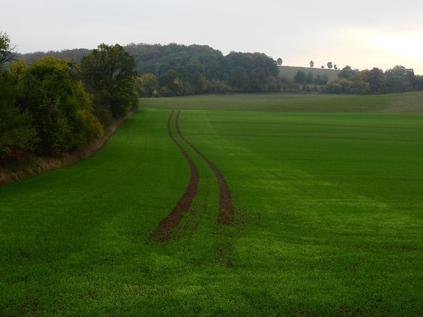 Unterwegs in und um R&uuml;disgdorf