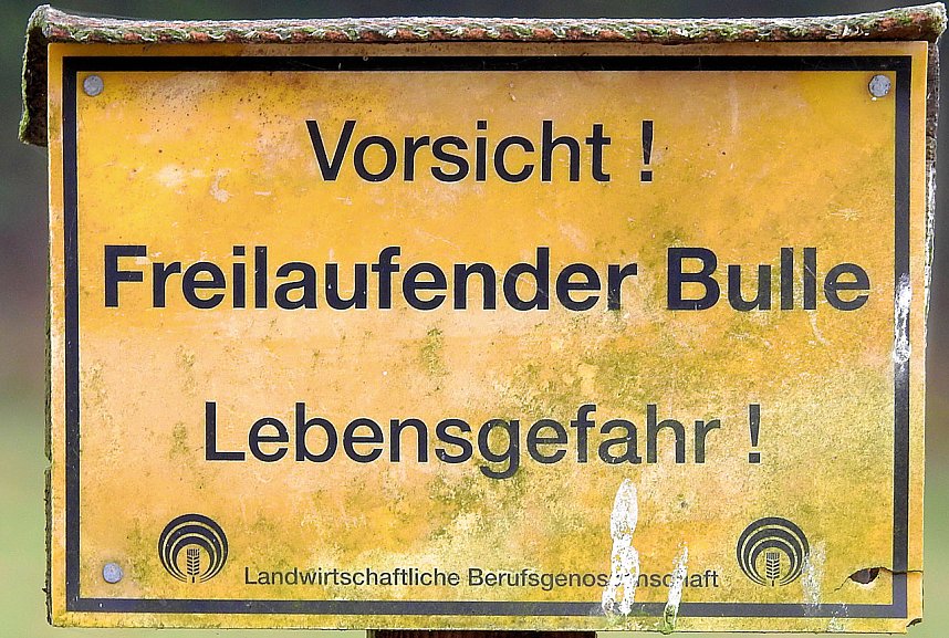 Unterwegs in und um R&uuml;disgdorf