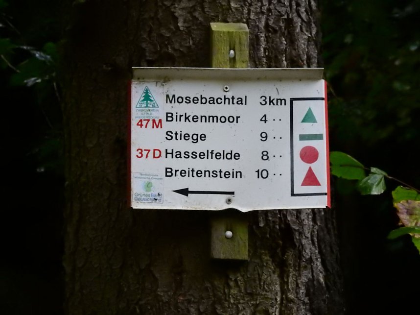 Unterwegs im sch&ouml;nen Harz