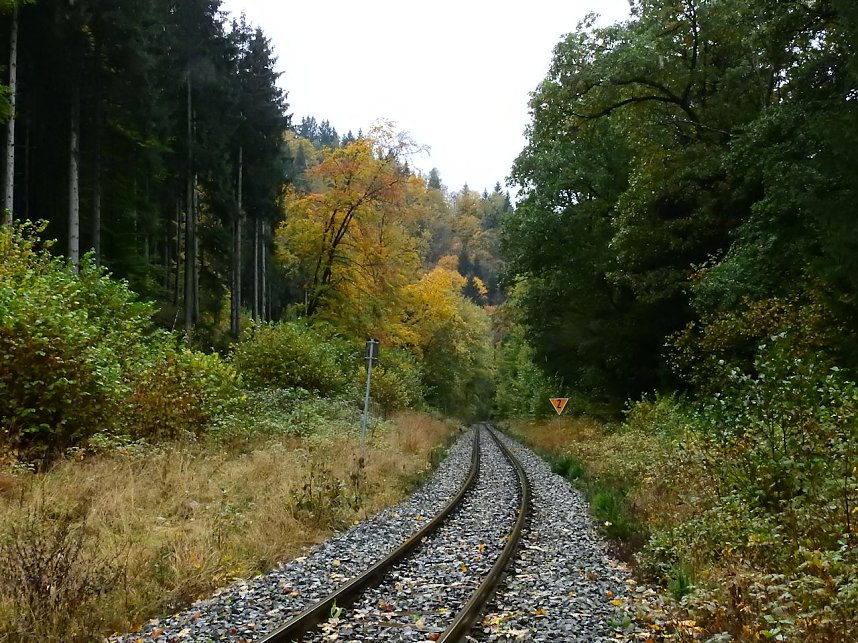 Unterwegs im sch&ouml;nen Harz