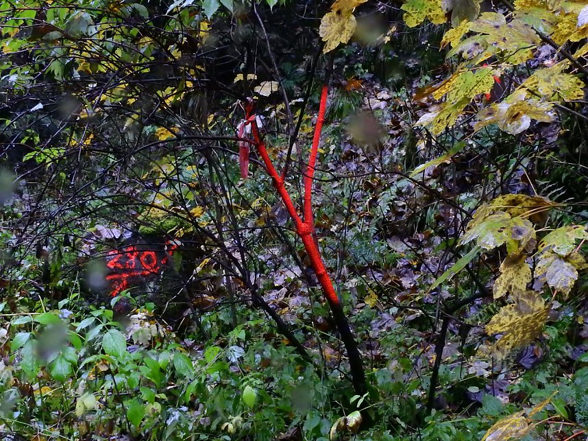 Unterwegs im sch&ouml;nen Harz