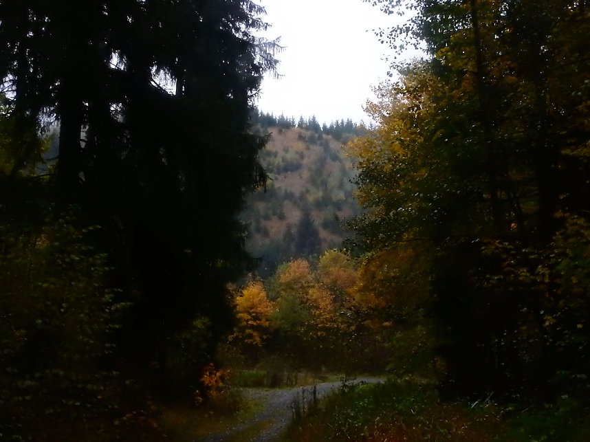 Unterwegs im sch&ouml;nen Harz