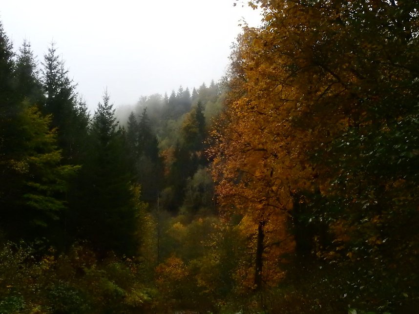 Unterwegs im sch&ouml;nen Harz