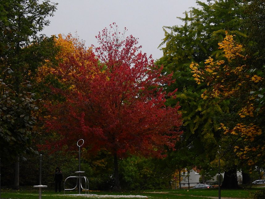 Herbstliche Impressionen