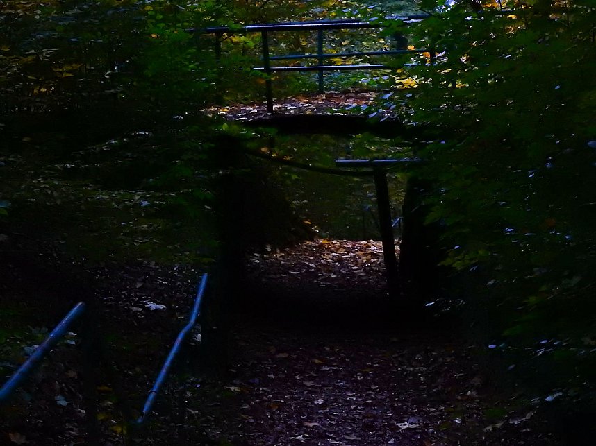 Herbstliche Impressionen