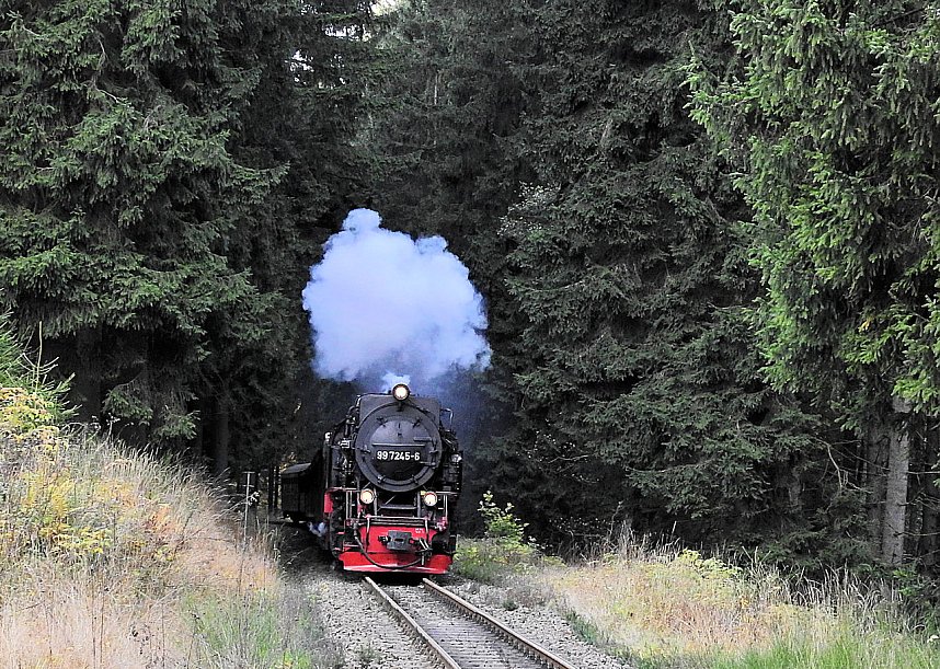 Unterwegs in Sophienhof