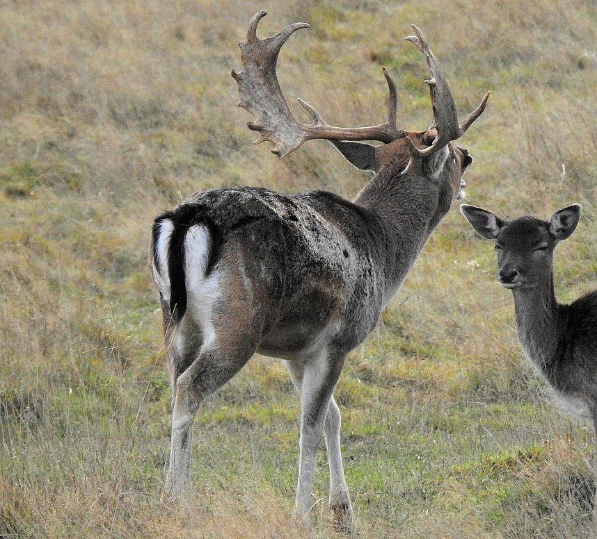 Unterwegs in Sophienhof