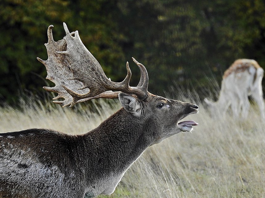 Unterwegs in Sophienhof