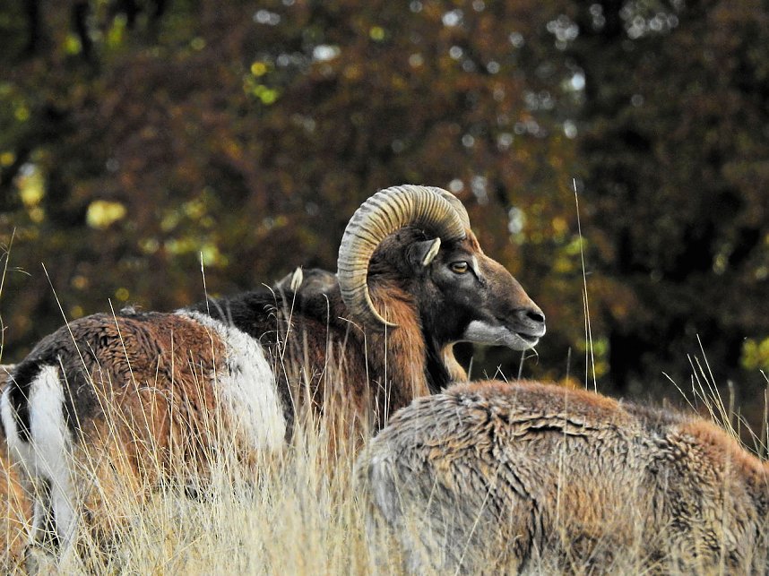 Unterwegs in Sophienhof