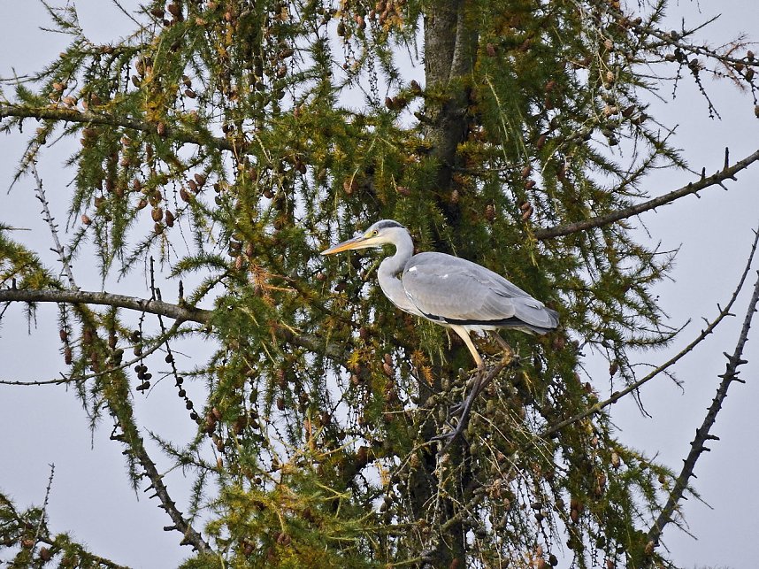 Unterwegs in Sophienhof