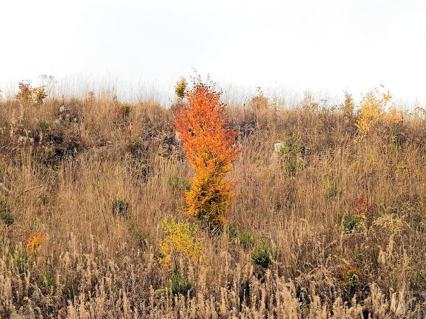 Unterwegs in Sophienhof