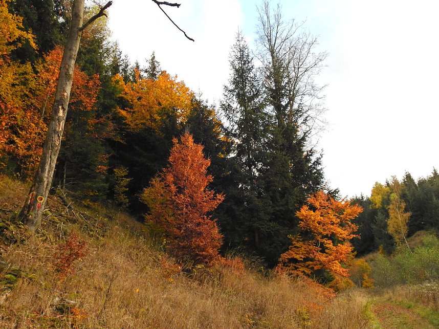 Unterwegs in Sophienhof