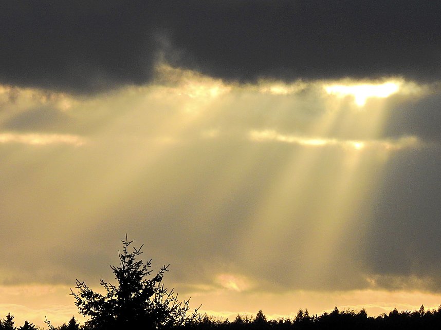 Unterwegs in Sophienhof